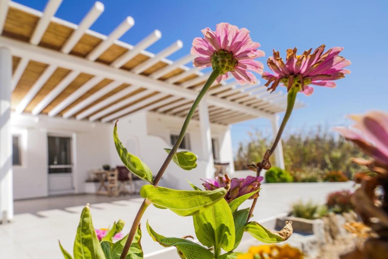קלפטיס Venus Myconian Residences מראה חיצוני תמונה